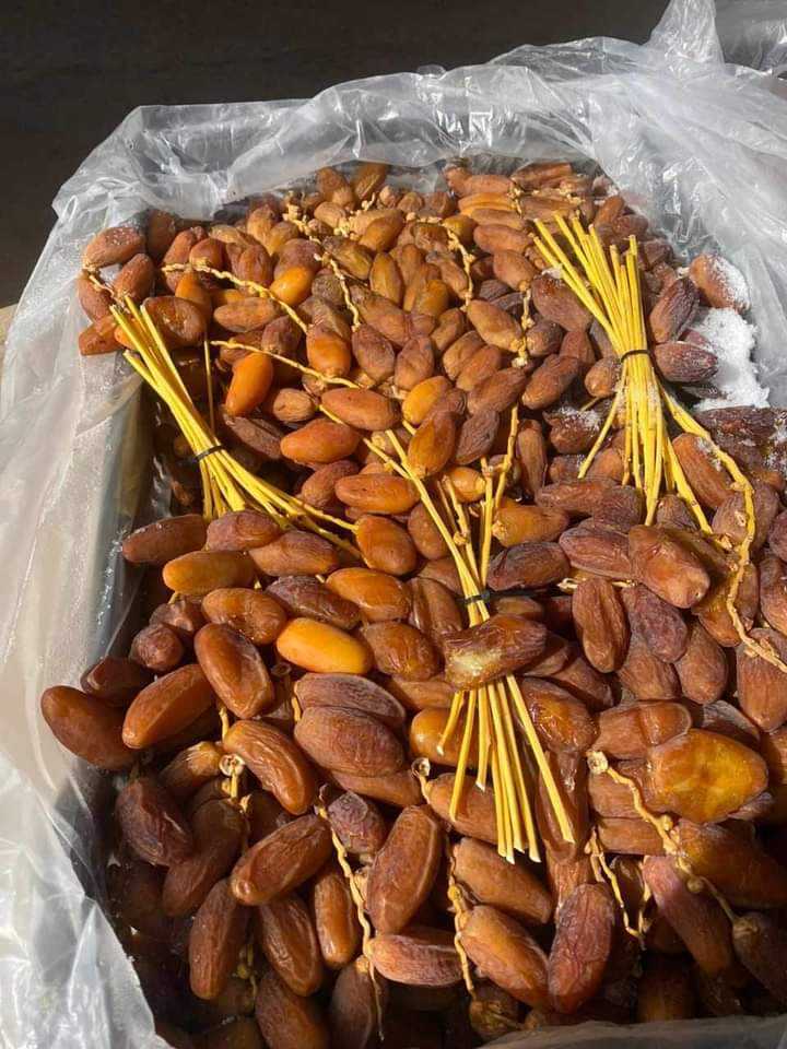 {"ar":"بلح","en":"dates"}