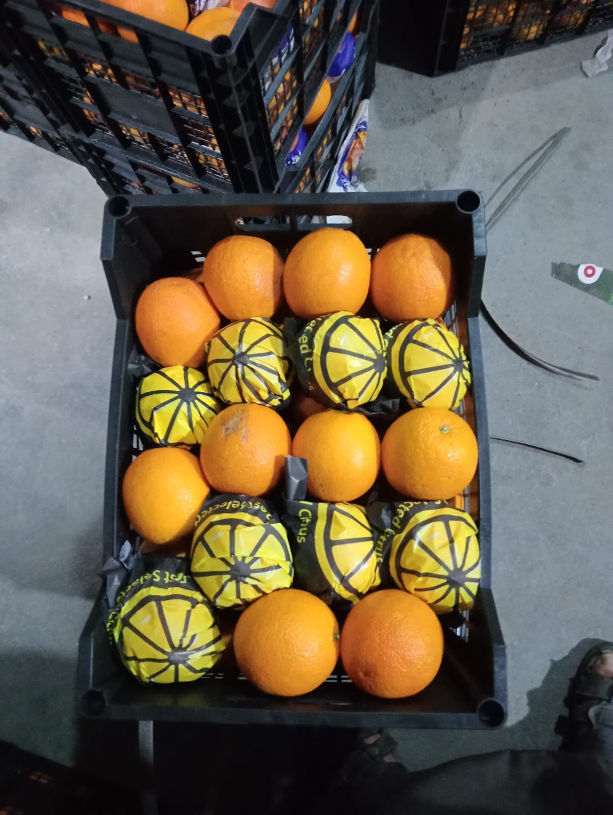 {"ar":"برتقال","en":"oranges"}